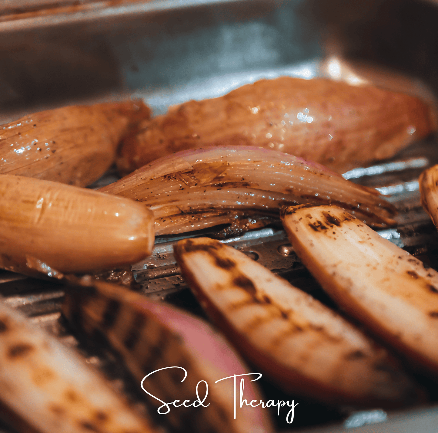 Zebrune Shallot – 25 Seeds
